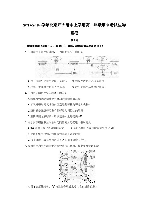 2017-2018学年北京师大附中上学期高二年级期末考试生物理卷