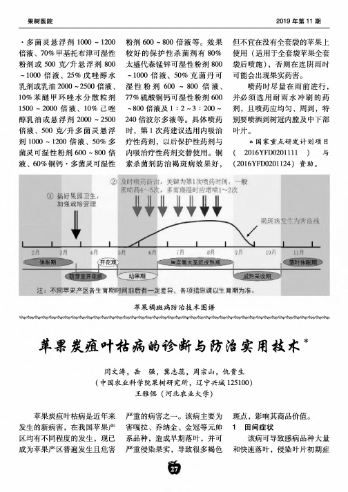 苹果炭疽叶枯病的诊断与防治实用技术