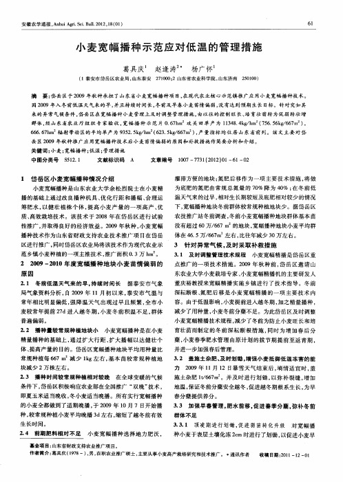 小麦宽幅播种示范应对低温的管理措施