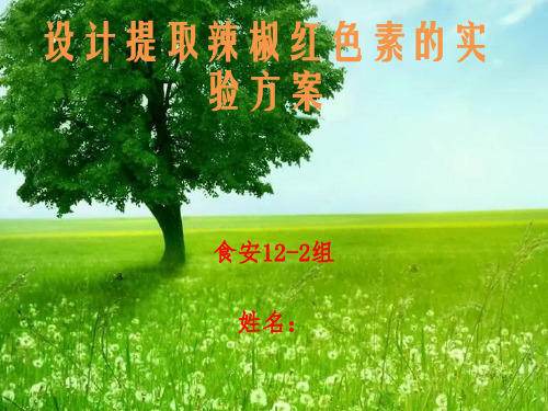 提取辣椒红色素实验方案
