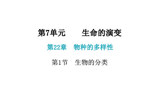 八年级生物下册(北师大版)2  生物的分类 课件 