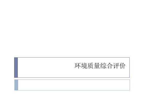 环境质量综合评价