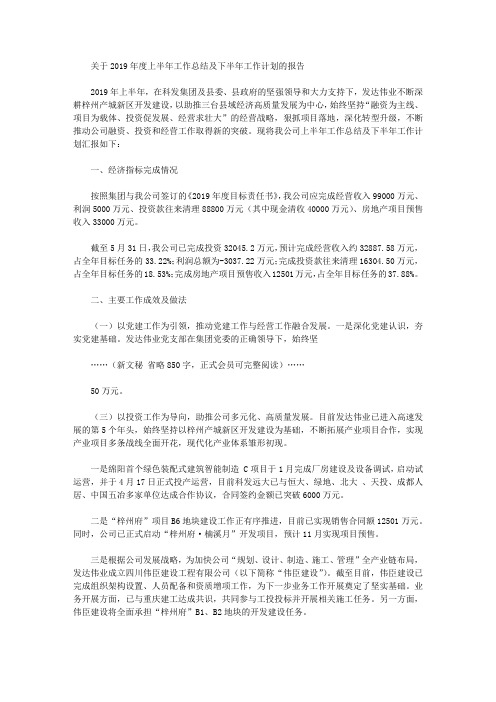 关于2019年度上半年工作总结及下半年工作计划的报告