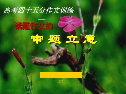 高中话题作文的审题立意 PPT课件 3