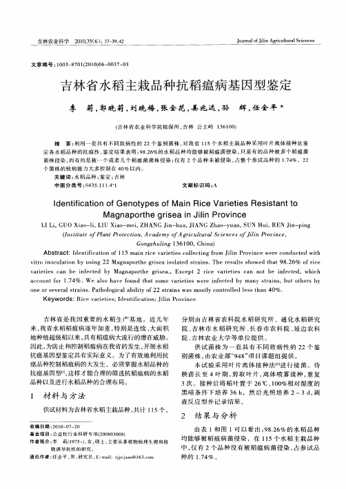 吉林省水稻主栽品种抗稻瘟病基因型鉴定