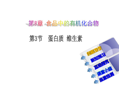 8.3蛋白质维生素(沪教版)