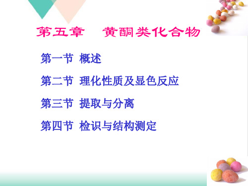 天然药化黄酮类化合物PPT培训课件