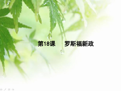 人教版高中历史必修2优质课件6：第18课罗斯福新政