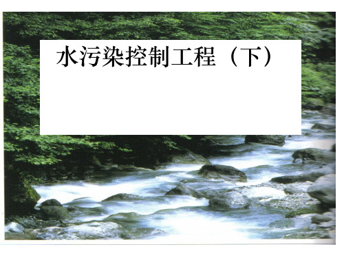 污水的生物处理技术PPT(50张)
