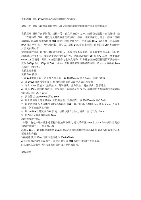 质粒DNA的提取与琼脂糖凝胶电泳鉴定