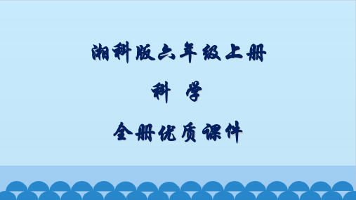 湘科版科学六年级上册全册课件