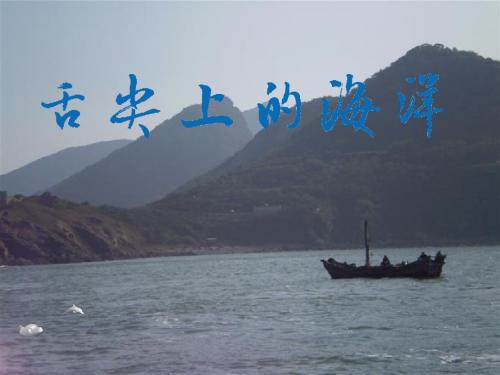 舌尖上的海洋