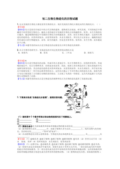 初二生物生物进化的历程试题

