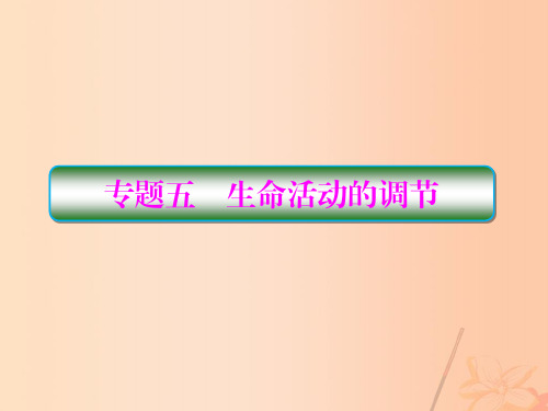 2017届高三生物二轮复习专题五生命活动的调节第1讲人和动物生命活动的调节课件