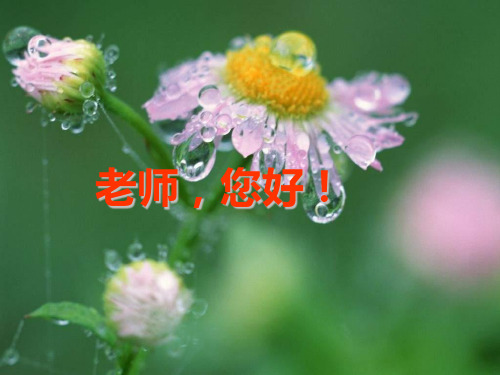 四年级上册语文课件1《老师,您好!》｜苏教版 (共18张PPT)