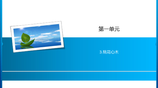 六年级下册语文课件-第1单元 3.桃花心木 人教新课标(共12张PPT)
