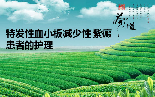 ITP患者的护理ppt(完整版)