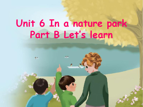 人教版PEP英语五年级上册Unit6 In a nature park B lets learn课件等
