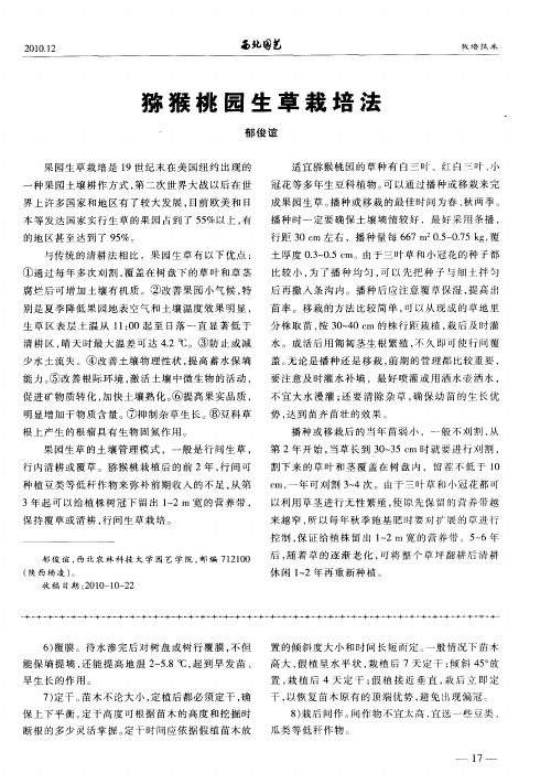 猕猴桃园生草栽培法