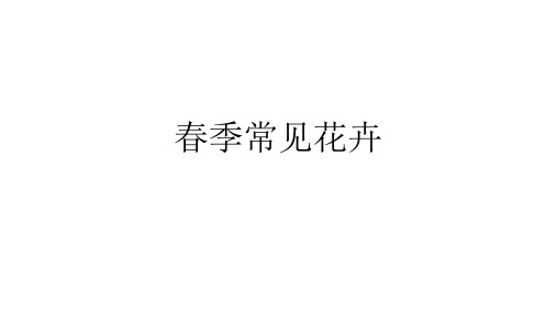 春季常见花卉识别
