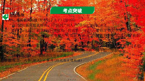 中考语文 语文知识及运用 专题十 新闻概括