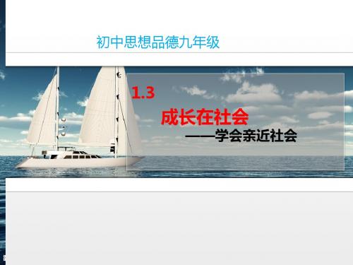 【思想品德】苏人版9年级1.3《学会亲近社会》情境探究型课件