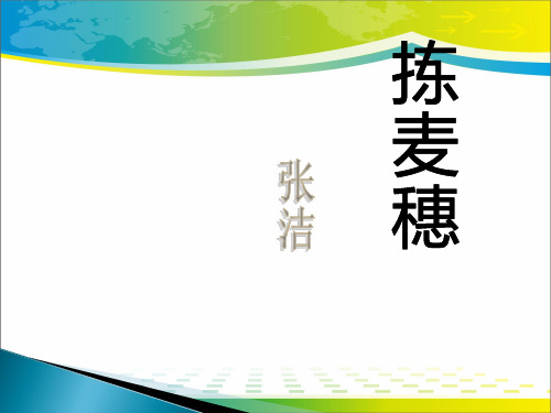 《拣麦穗》PPT课件【完美版课件】