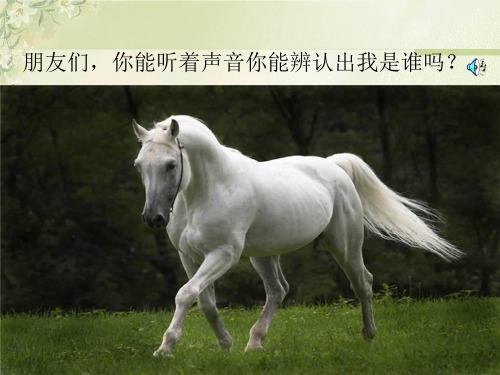 综合性学习《马的世界》课件
