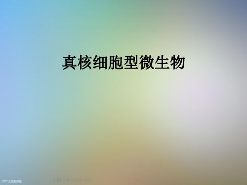 真核细胞型微生物