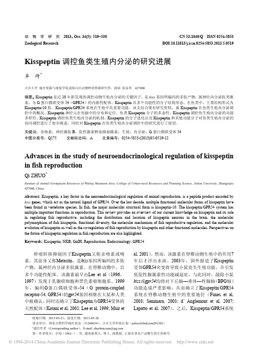 Kisspeptin调控鱼类生殖内分泌的研究进展_卓琦