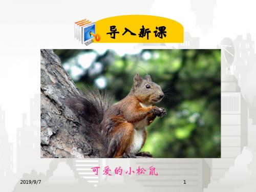 部编版小学语文一年级下册 10ppt课件.松鼠和松果ppt课件