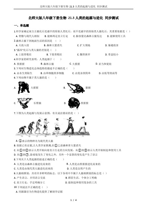 北师大版八年级下册生物 21.3人类的起源与进化 同步测试