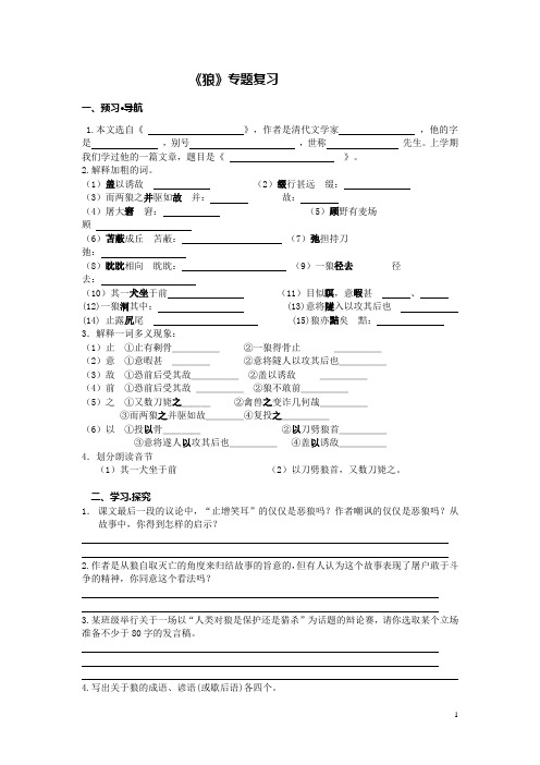 狼 专题学案及答案