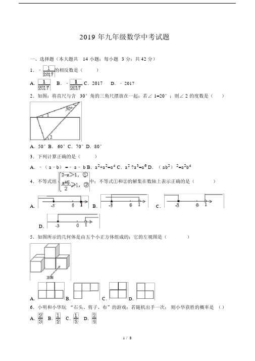 2019年九年级数学中考试题.doc