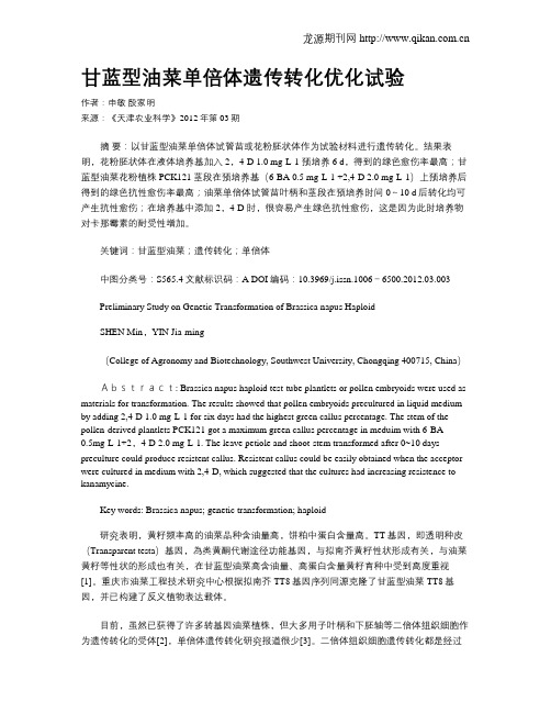 甘蓝型油菜单倍体遗传转化优化试验