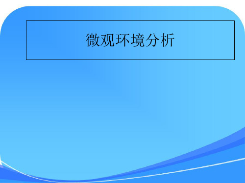 第六课时微观环境分析