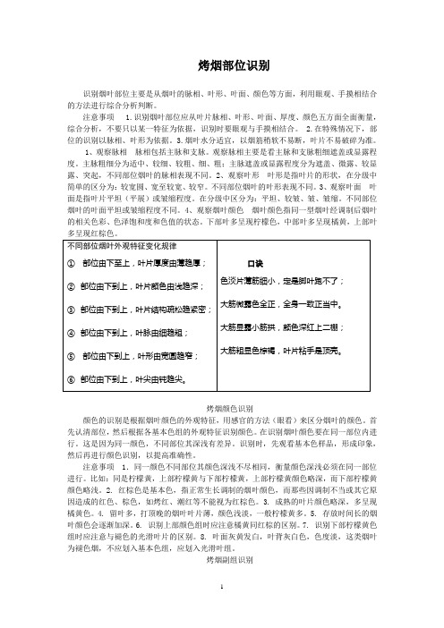 烤烟分级基础知识