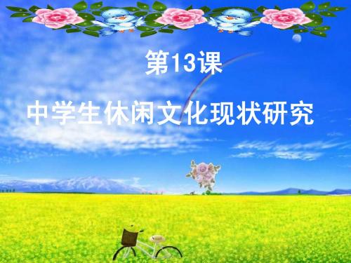 高中精品选修课：中学生休闲文化 第13课  中学生休闲文化现状研究