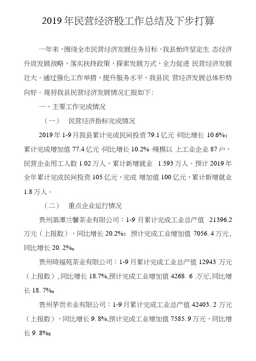 2019年民营经济工作总结及下步打算