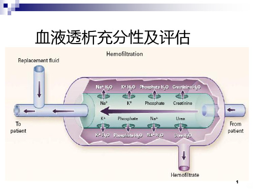 血液透析充分性PPT课件