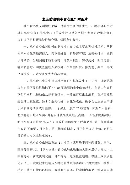 怎么防治桃小食心虫？附图片