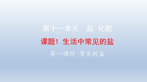 11.1 生活中的盐 (课时1)-人教版九年级下册化学课件(共15张PPT)