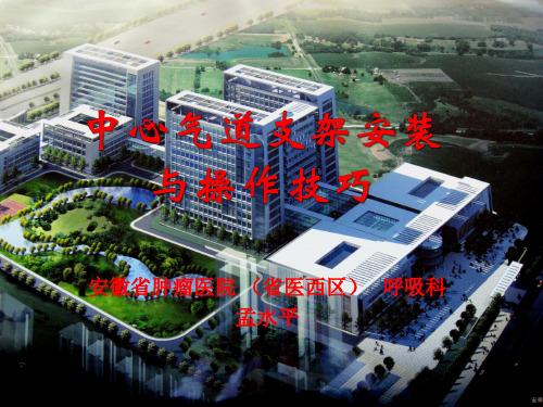 中心气道支架安装与操作技巧ppt课件