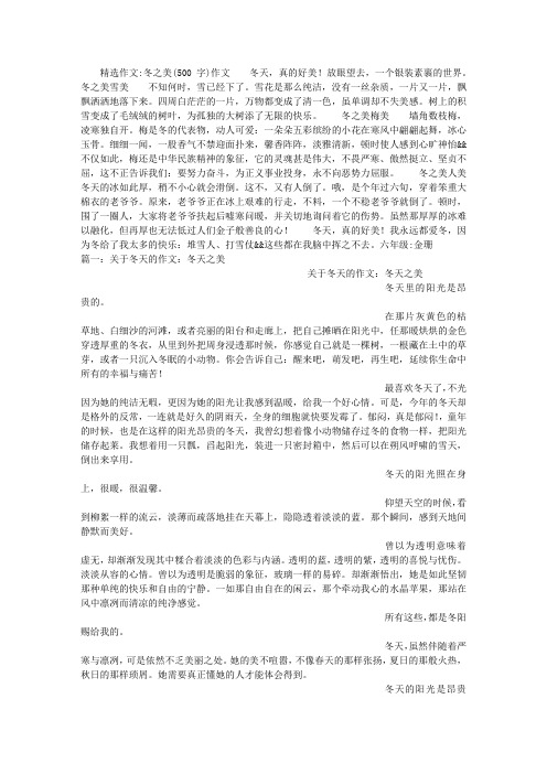 冬之美(500字)作文