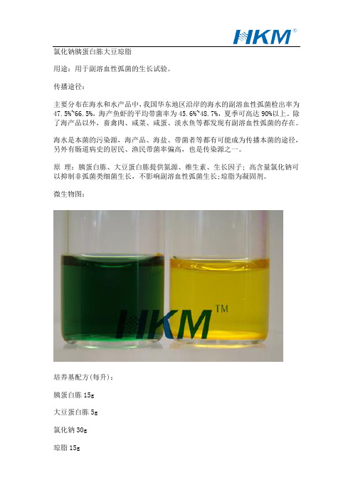 食品中副溶血性弧菌检测方法