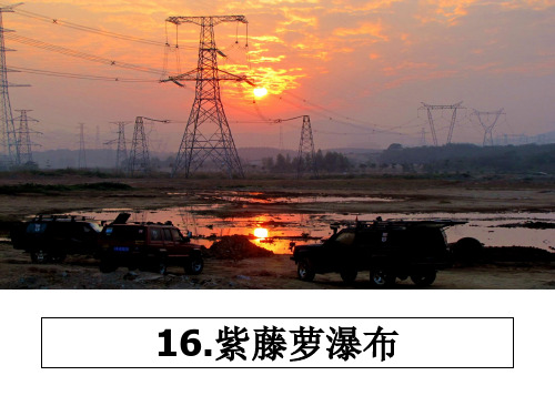 最新16.紫藤萝瀑布课件ppt
