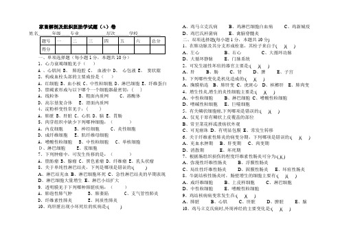 家畜解剖及组织胚胎学试题