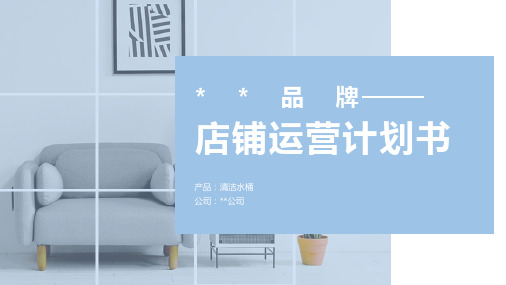 家庭生活清洁用具类目   品牌天猫运营计划书   参考