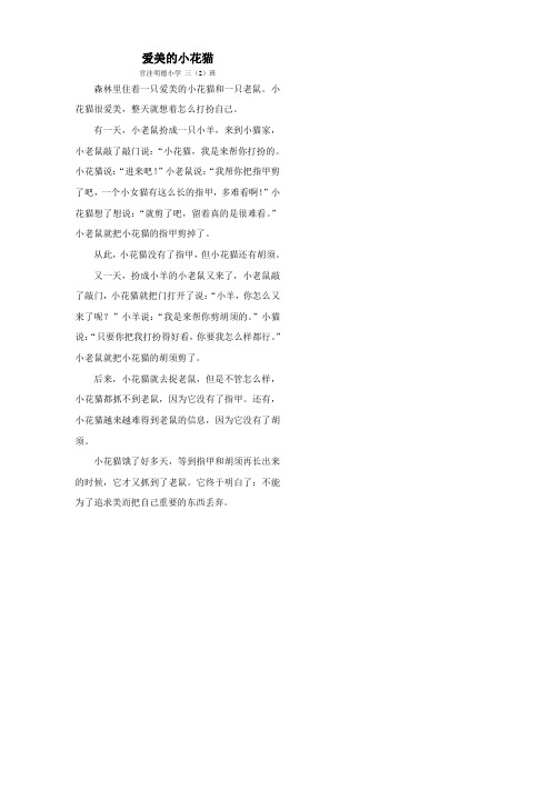 爱美的小花猫