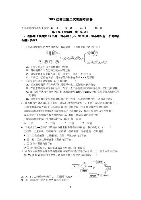 2019届高三第二次理综考试卷  含答案10.24